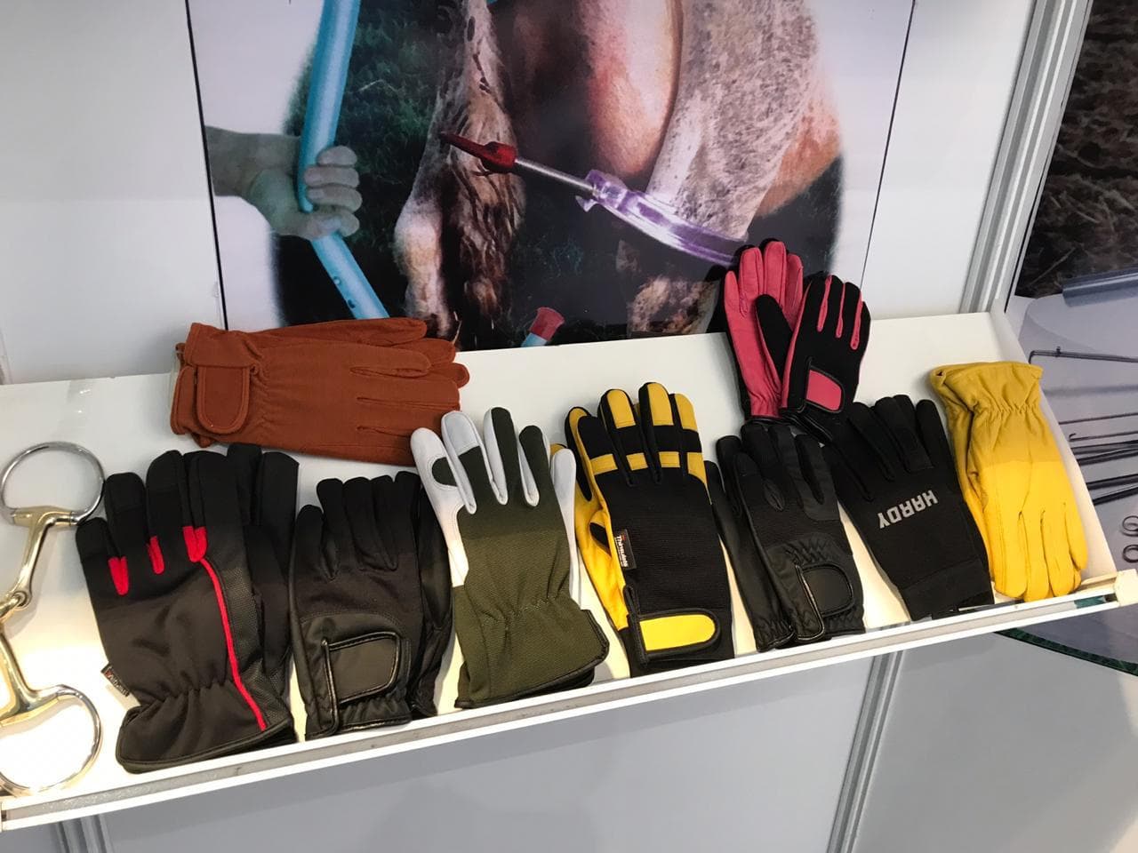 Digital Transformation in Veterinary Care: EuroTier 2018 in Review image 5